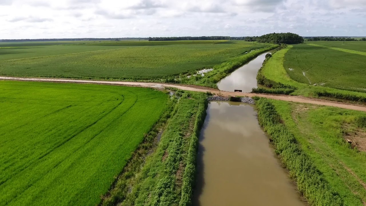 Row Crop Farm Ground, Poinsett County, Arkansas, 686 +/- Acres all in one block