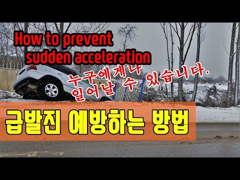 2019 아반떼