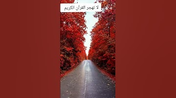 اواخر سورة المؤمنين #اذا اعجبتك فانشرها واذا لم تعجبك مر كأنك لم ترى شيئا#جديد#صوت#يجنن#قرآن#كريم#
