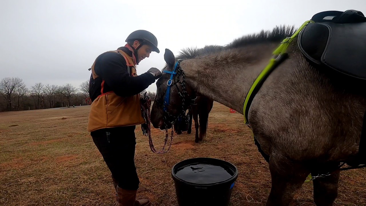 AERC Bell Cow Lake, OK