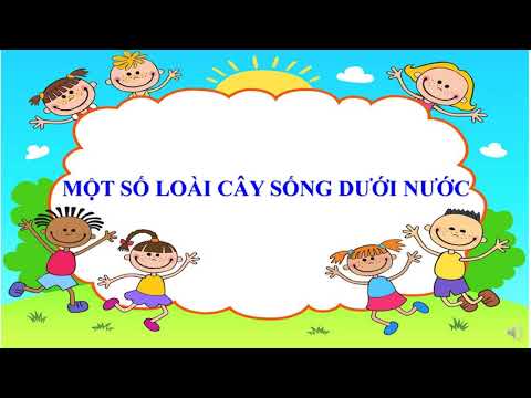 Tự nhiên và xã hội - Khối 2 - Tuần 25