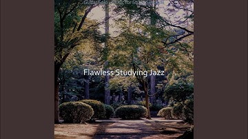 Alluring Backdrops for Late Night Studying