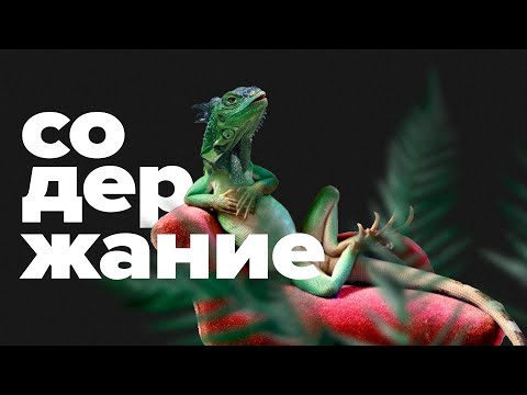 Зелёная ИГУАНА — содержание ДОМА. Самая необычная ящерица!
