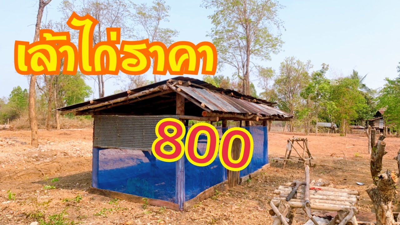 คอกไก่ ราคาประหยัด