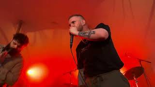 BIG SPECIAL - Trees