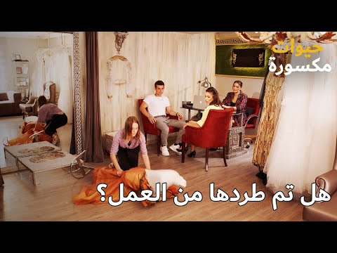 أويكو تتعرض للتأنيب في العمل - Kirik Hayatlar