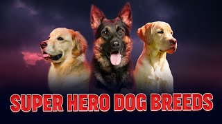 Celebrating Canine Heroes by Dog Powwow 31 views 2 months ago 1 minute, 34 seconds