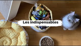 Les objets indispensables quand on a un chat - Loki & Mojo