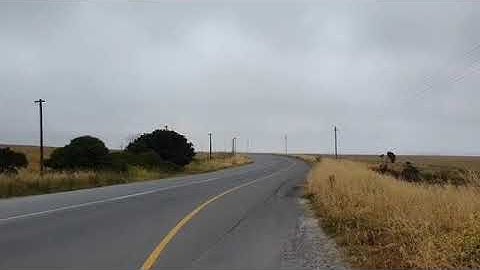 RUNX RSI LIFT LIFE!!