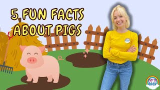 Fun Facts About Pigs | Fun Facts On The Farm | IVY TV KIDS!