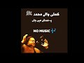 Kamli Wale Mohammad Tu Sadke Without Music By Nusrat Fateh Ali Khan