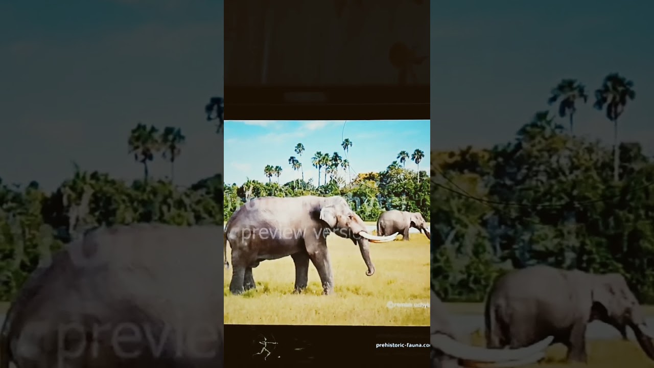 Notiomastodon Trumpet 🐘 🔊