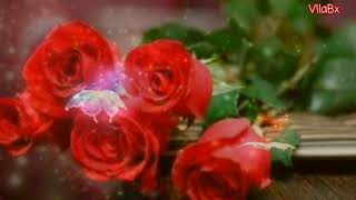 Marimba Trece Baktun, Mariposas De Primavera.