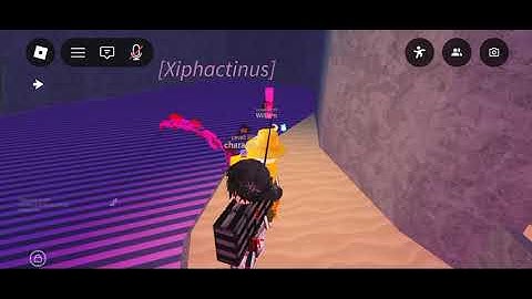 [Report Video] Fisch | Exploiter ID: @charan1795