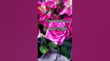 ماتيسر من سورة طه #viral #funny #اكسبلور #video #islam #quran #art #explore #صلوا_على_النبي
