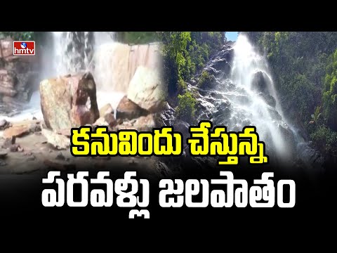 కనువిందు చేస్తున్న పరవళ్లు జలపాతం | Waterfall At Umamaheswara Temple | hmtv