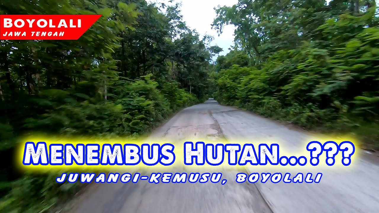 Juwangi ke Kemusu, Boyolali, Lewat Hutan Belantara????