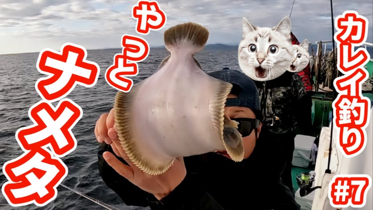 [カレイ釣り ＃7]　[岩手 三陸 越喜来湾]