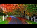 سورة غافر متعة الاستماع لاتوصف مشاري العفاسي