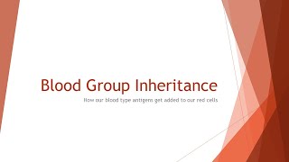 Blood Group Inheritance