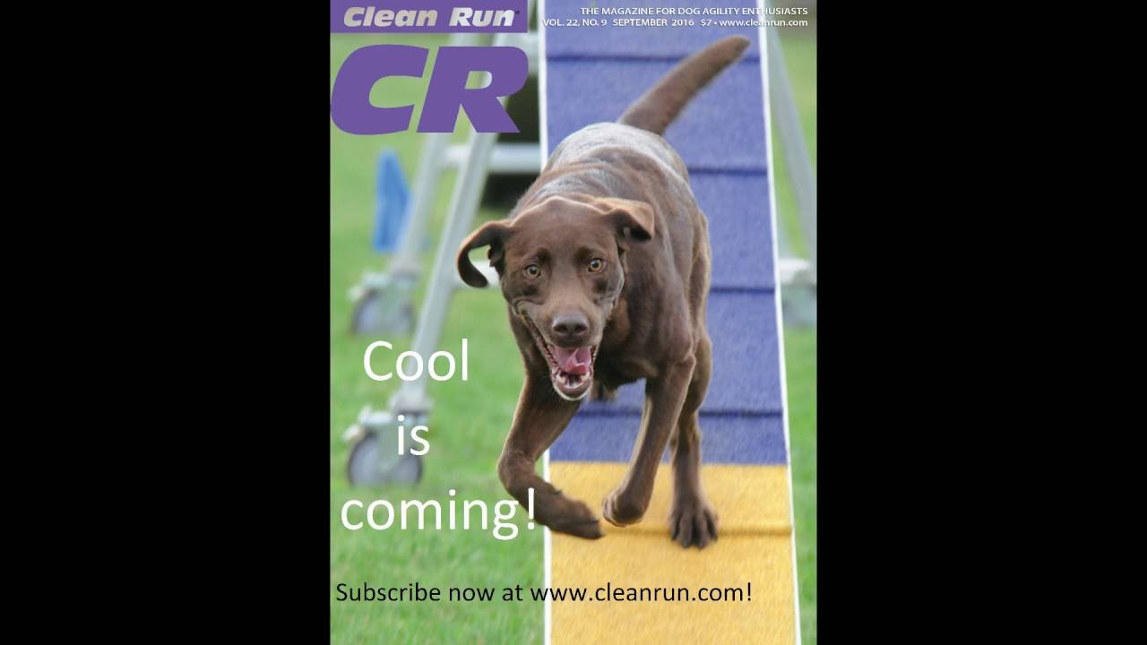 Clean Run Magazine Sneak Peek at the September 2016 Issue! - YouTube