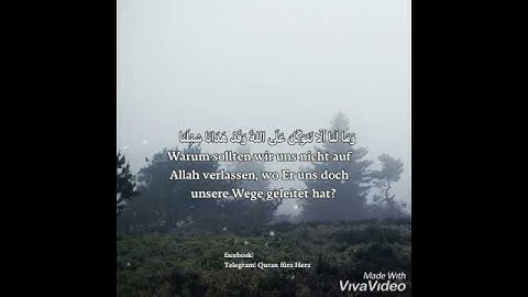 وَمَا لَنَا أَلَّا نَتَوَكَّلَ عَلَى اللَّهِ | سورة إبراهيم ١٢ - Surah Ibrahim 12