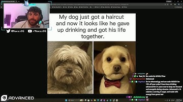 NEW GAME! Checking Out Soul Frame from The Warframe Devs // Livestream