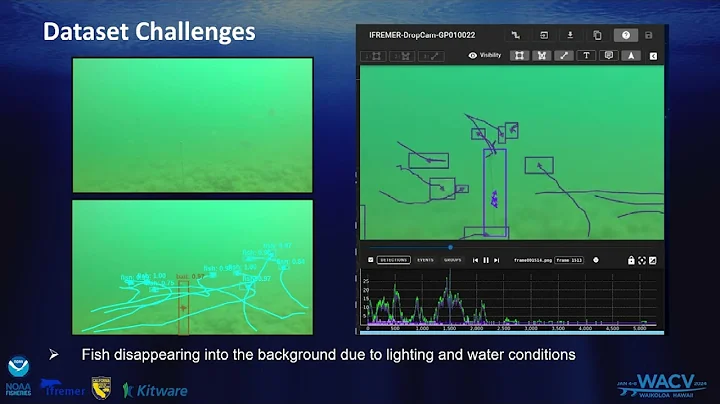 FishTrack23: An Ensemble Underwater Dataset for Multi-Object Tracking