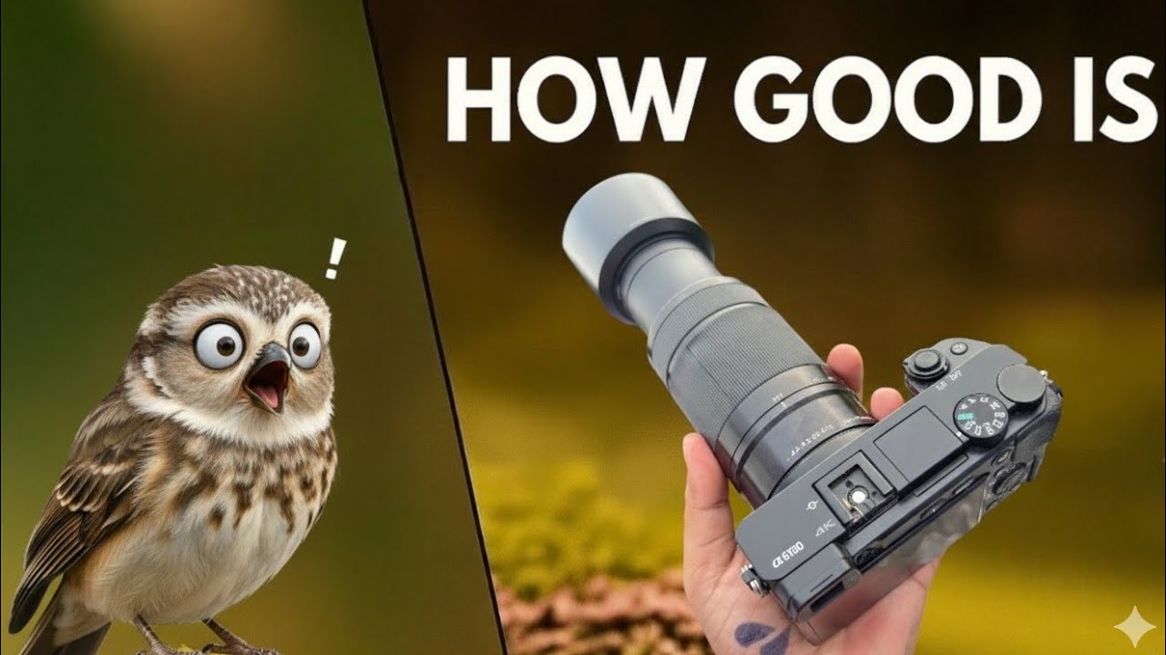 Sony A6400 18-55 kit lens + Sony 55-210 OSS Test (Photo + natural photography) 