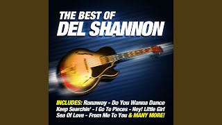 Video thumbnail of "Del Shannon - Hats Off To Larry"