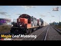 Maple Leaf Motoring : CN Oakville Subdivision : Train Sim World 2020 1080p60fps