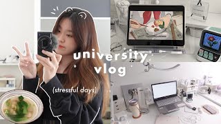 stressful days of a university student in malaysia 大学网课日常 VLOG