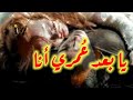 الكلمات الأصلية لأغنية عذبوني عاصي الحل اني