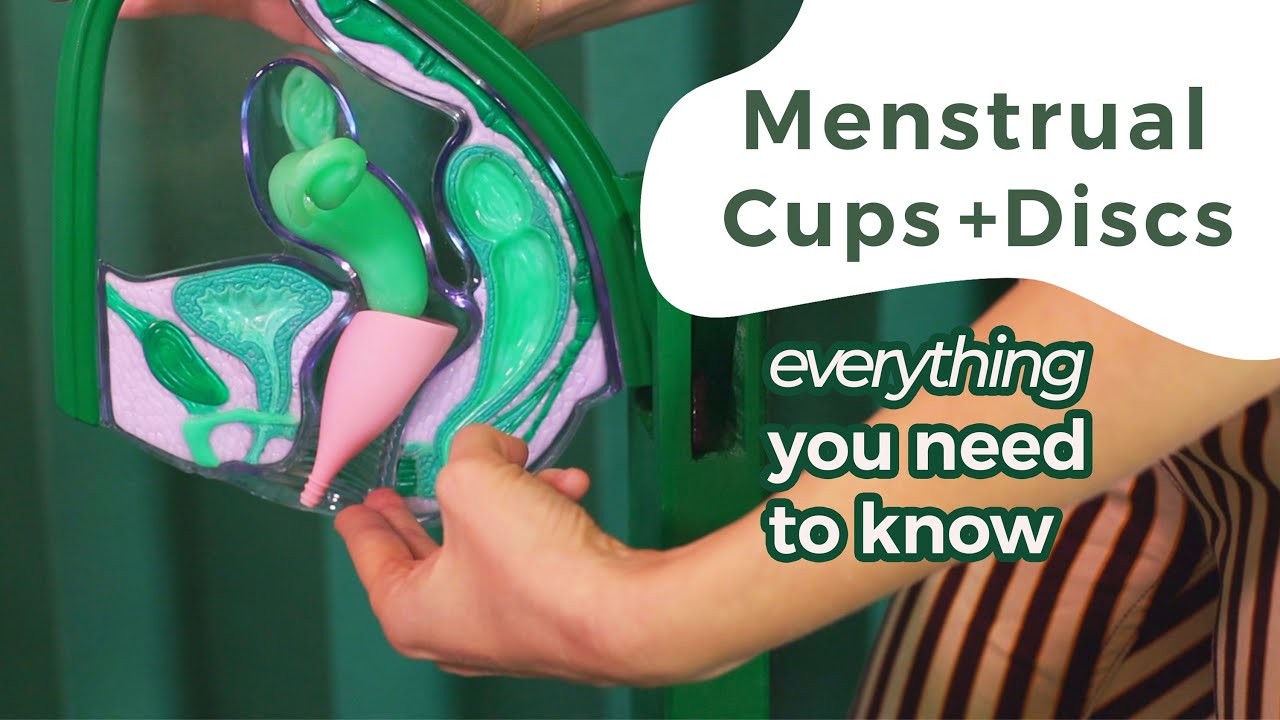 The 7 Best Menstrual Cups and Discs of 2024