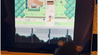 [Omori Meme] Rat Playing Omori