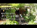 【Vlog】ターシャの庭へ・花フェスタ記念公園/栗原はるみさんのレシピで仕込み５分の簡単ポテトグラタン/ターシャ・テューダー/中秋の名月