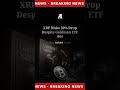 XRP ignores Goldman ETF bet as analysts warn of 50% drop