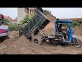 🔴Công nông chở đất lao xuống AO rất khỏe | ô tô chở CÁT | máy xúc đất |sand truck dump truck