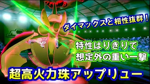 ポケモン剣盾 命の珠