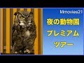 円山動物園　夜の動物園プレミアムツアー