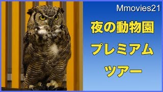 円山動物園　夜の動物園プレミアムツアー