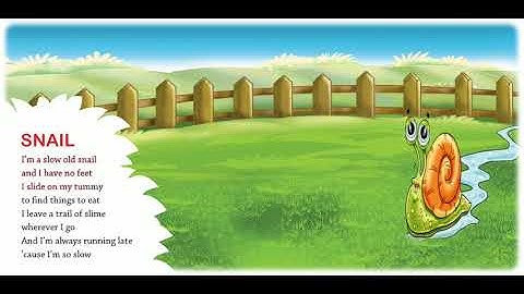 Snail | Nursery Rhymes & Songs for Children I Animated I Firefly Rhymes