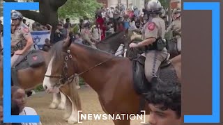 Police arrest more than 30 pro-Palestinian protesters at UT Austin campus | Morning in America