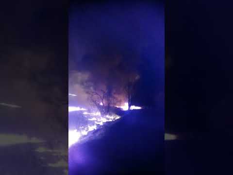 Incendiu de vegetație uscată la Axente Sever