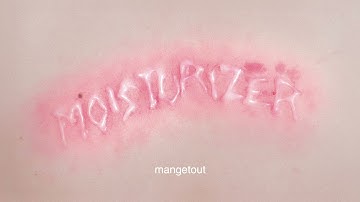 Wet Leg - mangetout (Official Audio)