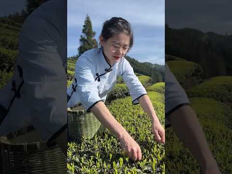 From Mountain to