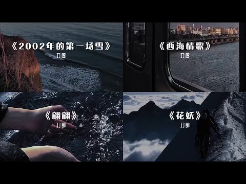 「2002年的第壹場雪+西海情歌+翩翩+花妖」- 刀郎| 抖音熱播『2002年的壹場雪 比以往時候來的更晚壹些』♫