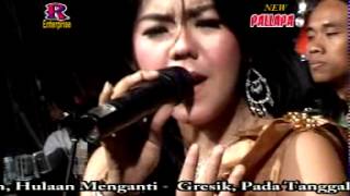 Dusta - New Pallapa Live In Hulaan Menganti Gresik