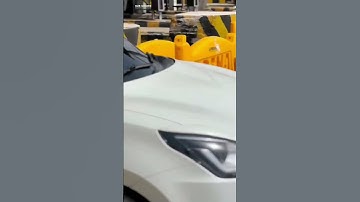 z black swift attitude status 🔥