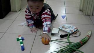 SL372475.AVI
